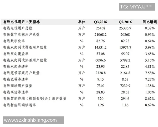 成都排球队技术分析与战术创新的深度探讨与展望