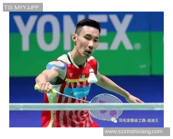 羽毛球战术揭秘：深入分析北京羽毛球队的包夹策略与应用