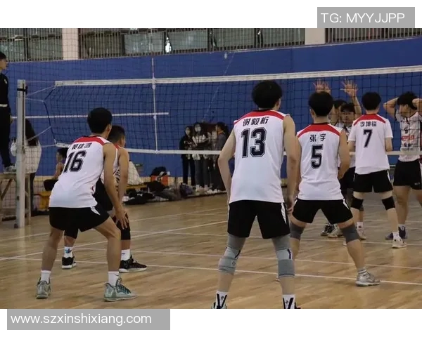 深圳排球队在全国排球团队协作排行榜中荣获第四名的佳绩分析