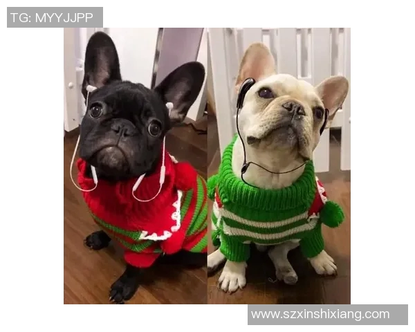 足球明星中谁对粉丝最为宠爱与关怀的背后故事揭秘